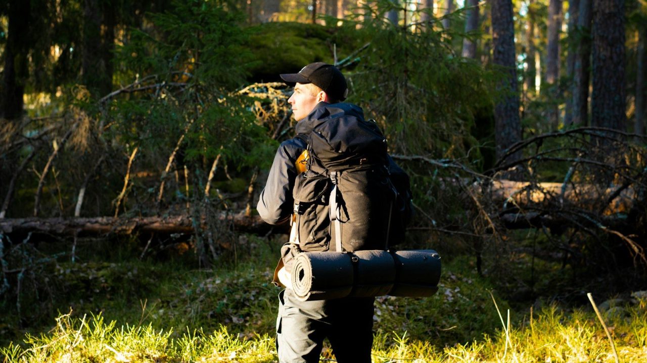 Randonnée en forêt