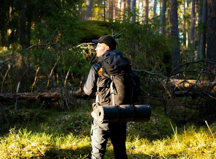 Randonnée en forêt