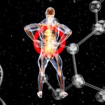 système immunitaire