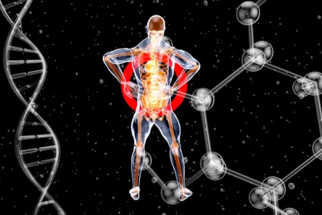 système immunitaire
