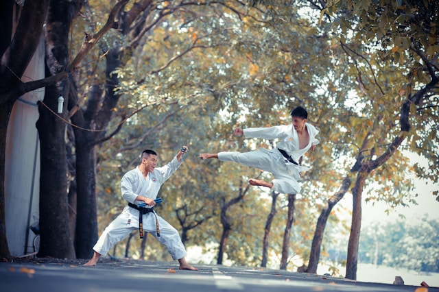 styles de Kung-fu
