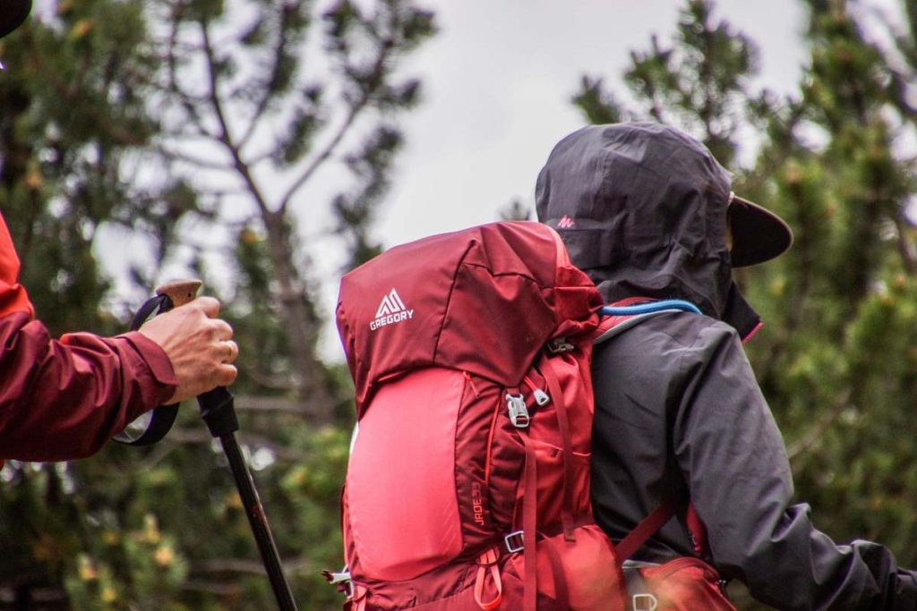 Deux randonneurs avec des sacs à dos et des bâtons de marche en forêt sous un ciel nuageux