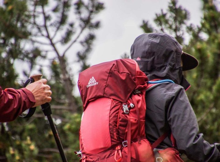 Deux randonneurs avec des sacs à dos et des bâtons de marche en forêt sous un ciel nuageux