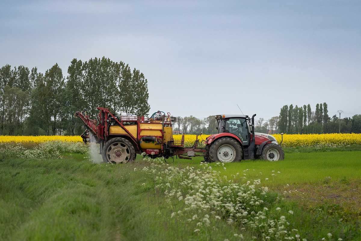 Tracteur rouge épandant des produits chimiques sur des cultures dans un champ agricole Tracteur rouge épandant des produits chimiques sur des cultures dans un champ agricole