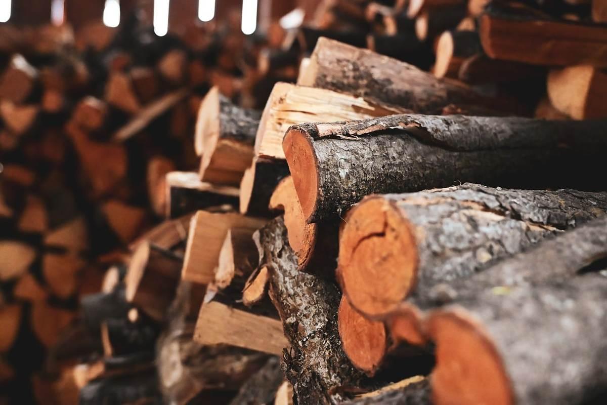Réchaud à bois pliable : l'investissement malin du campeur itinérant